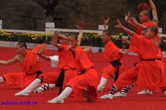 嵩山少林武术学校幼儿园的武术教练是怎么教育孩子的